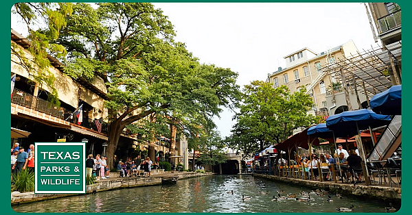 Pbs Trailer - Paddling Trails, Edwards Aquifer &amp; The Art Of Texas