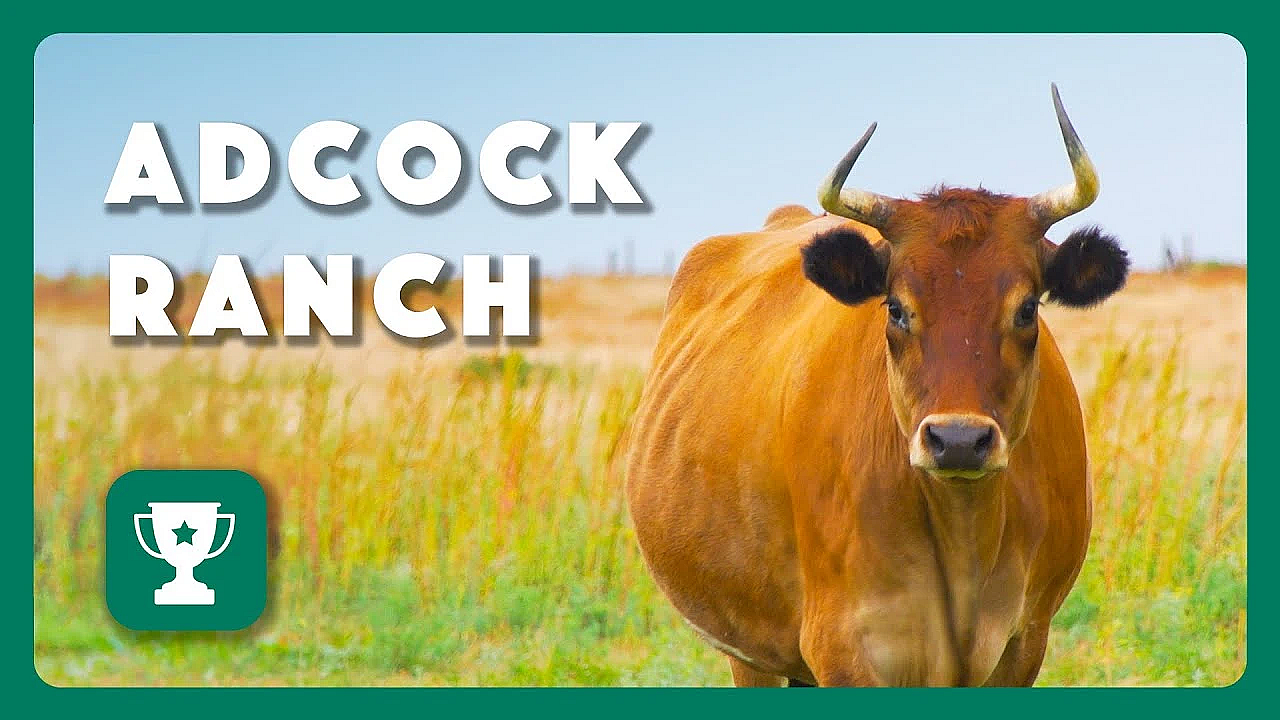 Adcock Ranch - 2024 Lone Star Land Steward