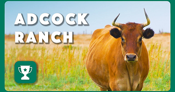 Adcock Ranch - 2024 Lone Star Land Steward