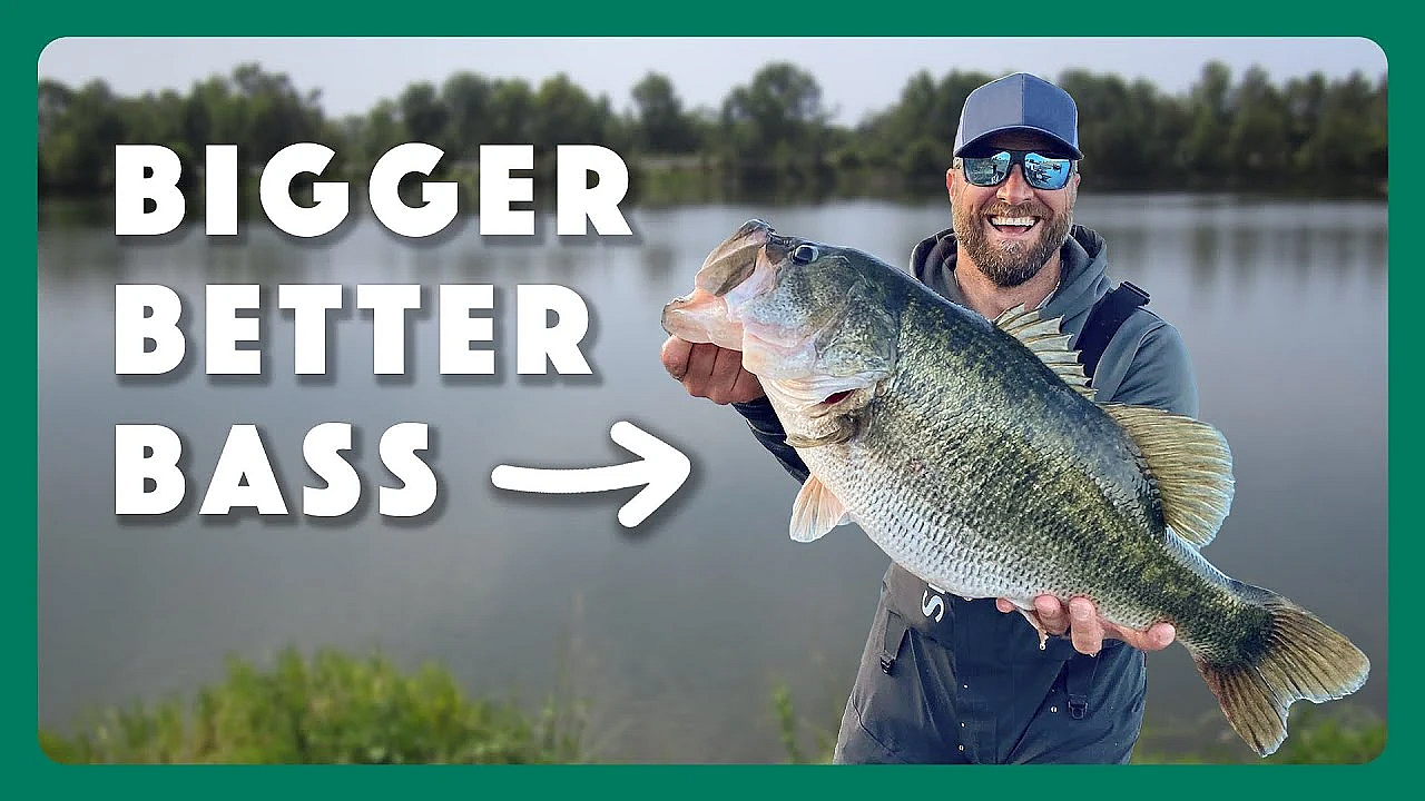 How To Submit Sharelunkers