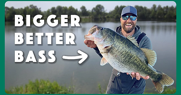 How To Submit Sharelunkers