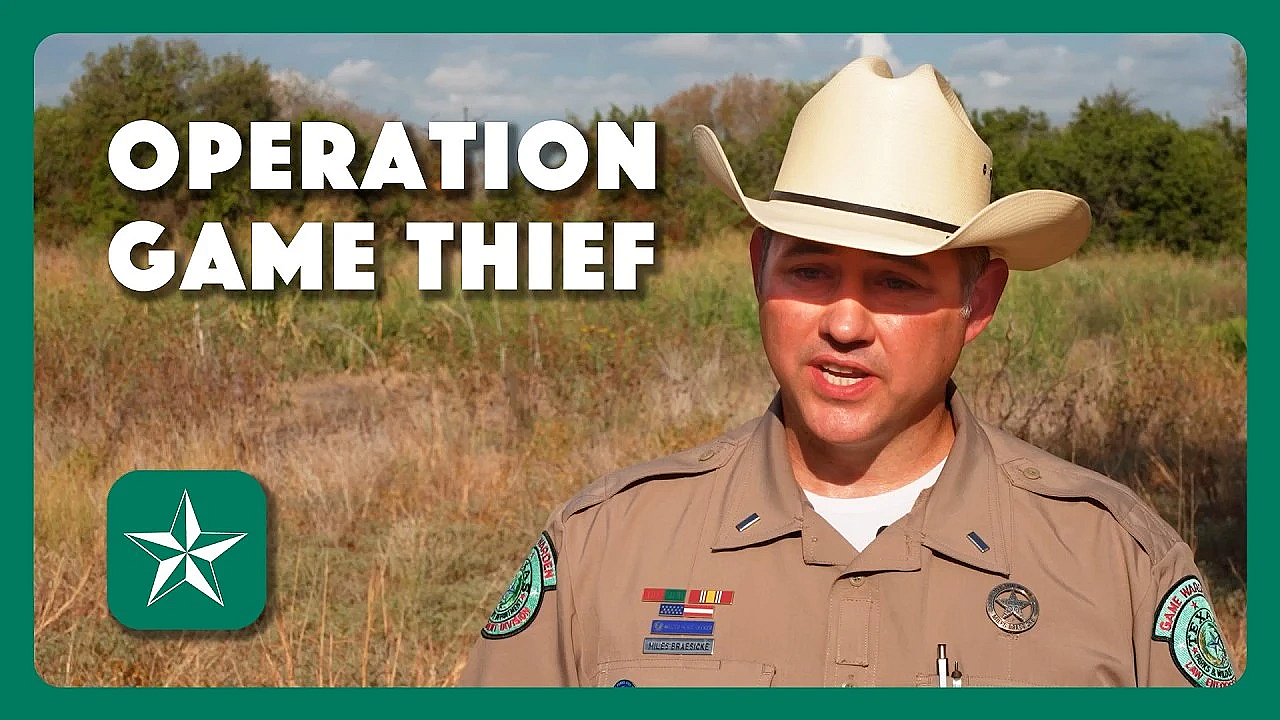 Operation Game Thief