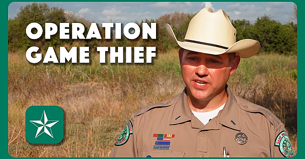 Operation Game Thief