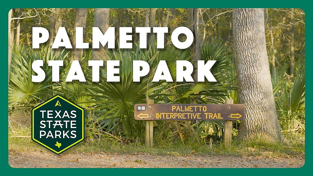 Palmetto State Park
