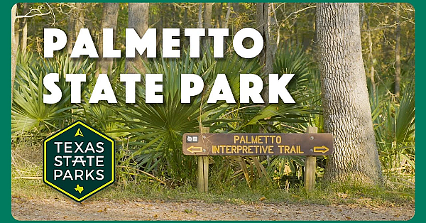 Palmetto State Park