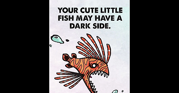 Never Dump Your Tank