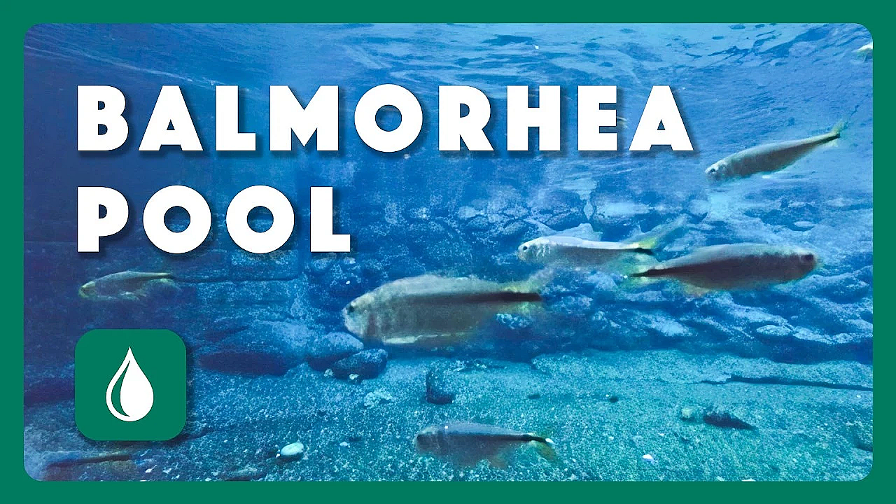 Balmorhea Pool | Postcard From Texas