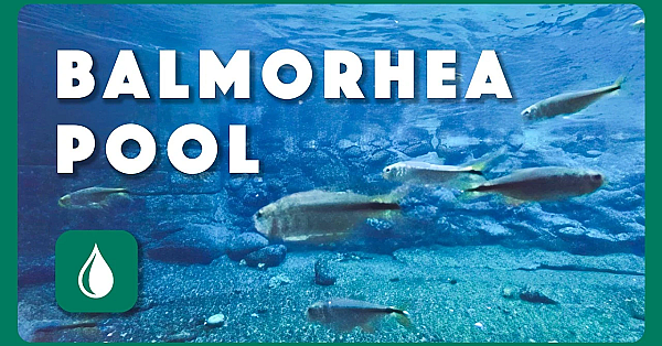 Balmorhea Pool | Postcard From Texas
