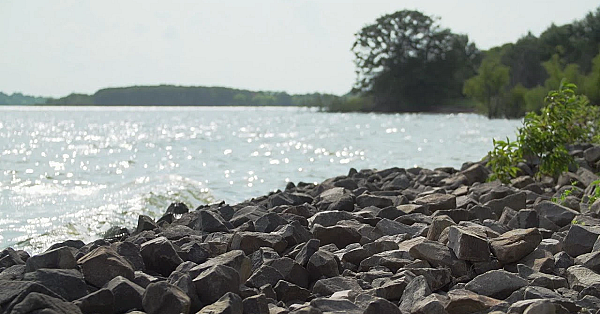 Cooper Lake State Park - Texas Parks And Wildlife [official]