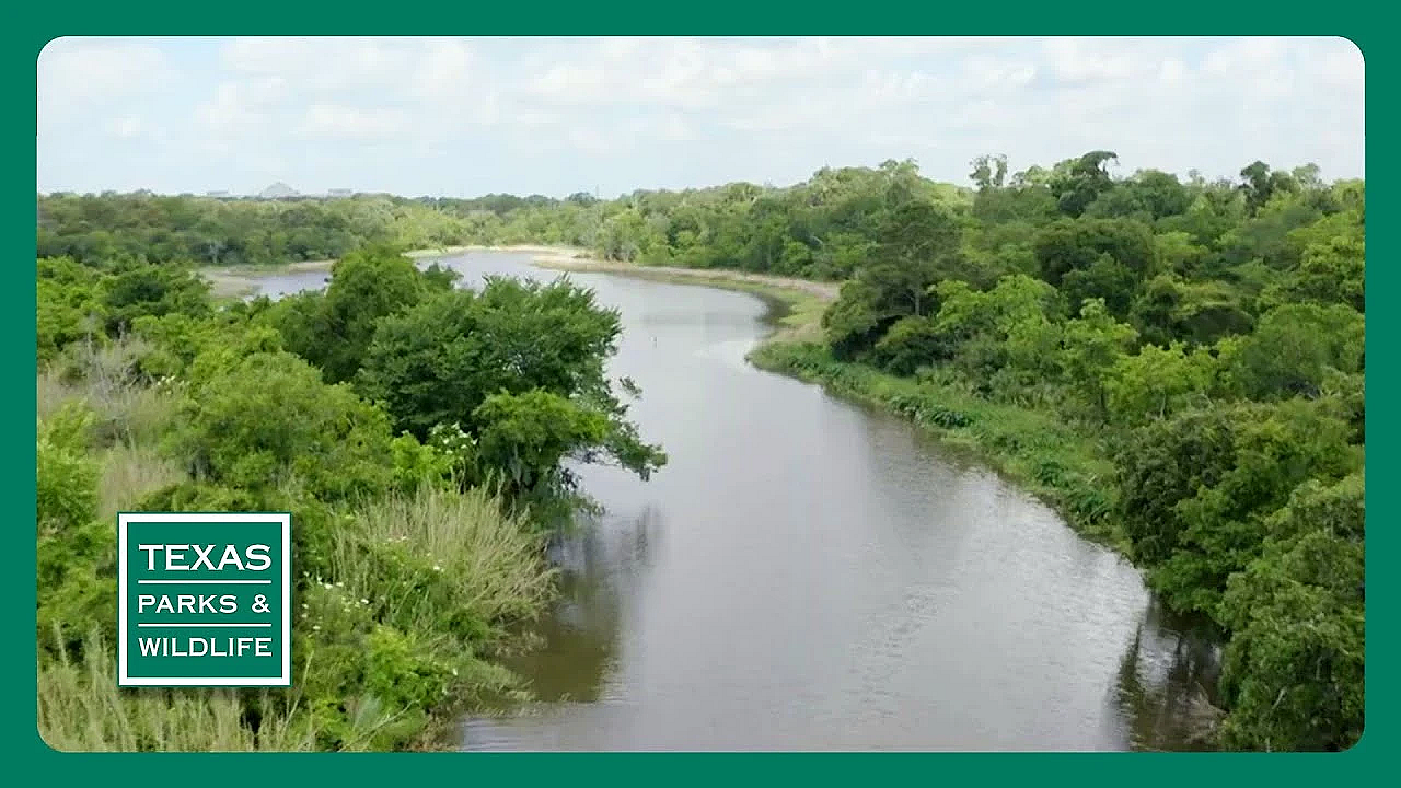 Pbs Trailer - Bayou City, The Art Of Mapping &amp; Shotgun Skills