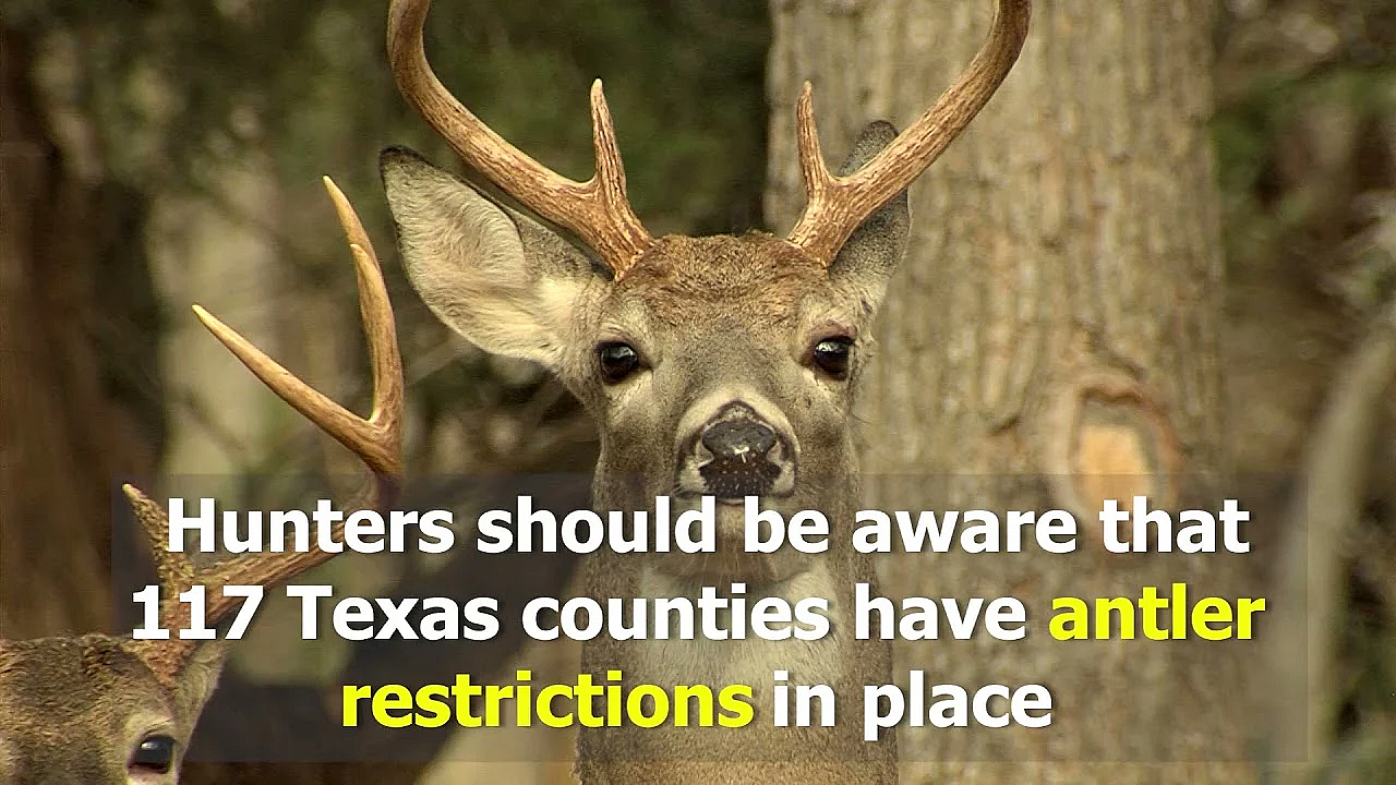 Get Ready For The 2021-22 White-tailed Deer Season