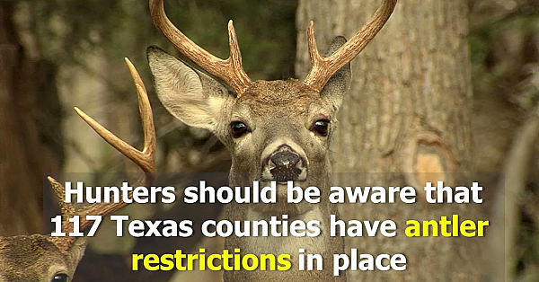 Get Ready For The 2021-22 White-tailed Deer Season