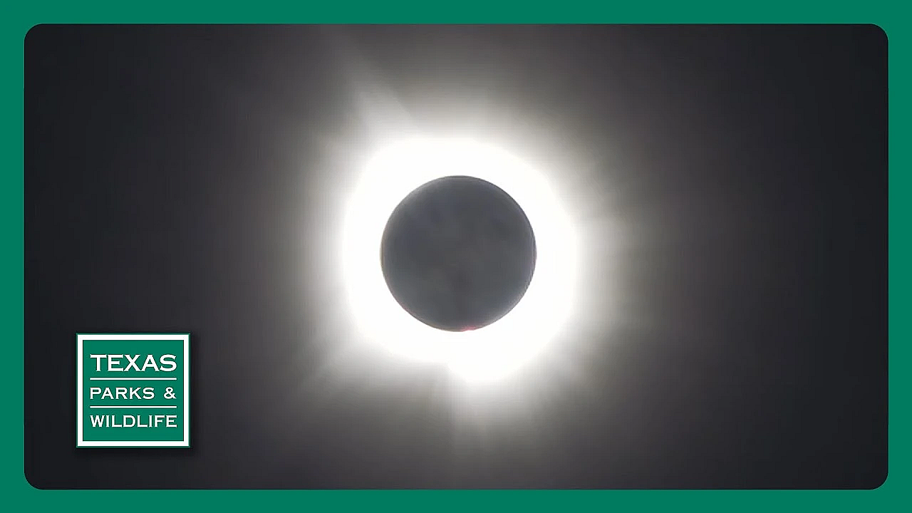 Pbs Trailer - April 27-may 3, 2025