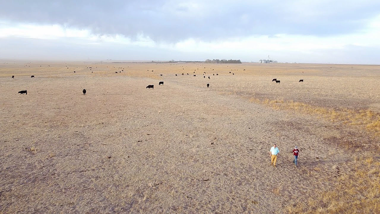 Pbs Show - White Bass, High Plains Grassland &amp; Big Spring
