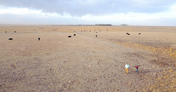 Pbs Show - White Bass, High Plains Grassland &amp; Big Spring