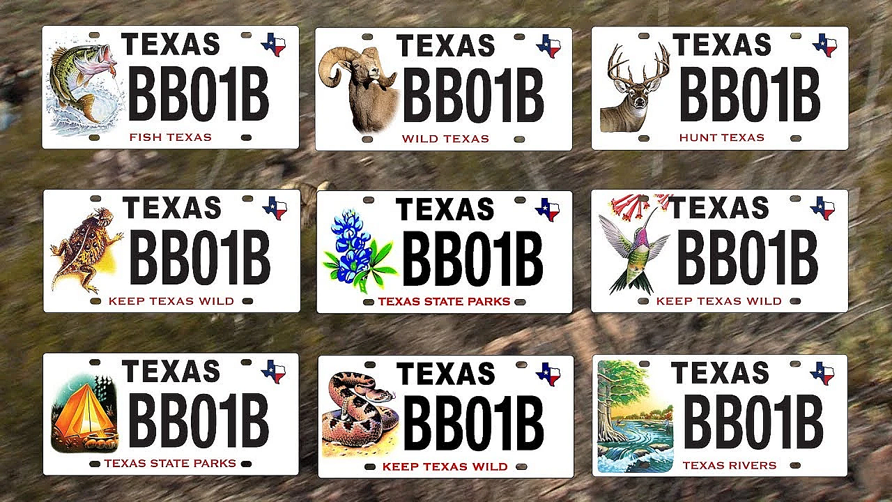 Family Of Conservation License Plates