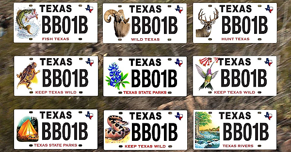 Family Of Conservation License Plates