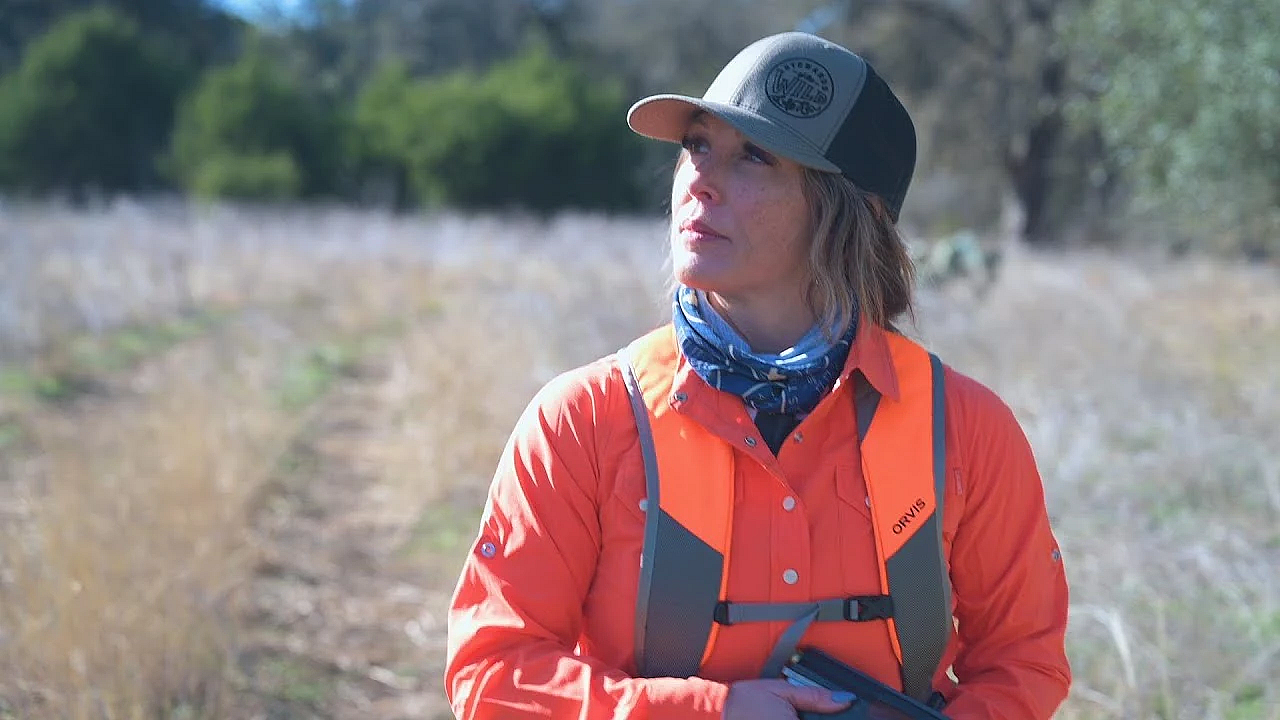Pbs Show - First Quail Hunt, Preserving History &amp; Paddlefish - #3020