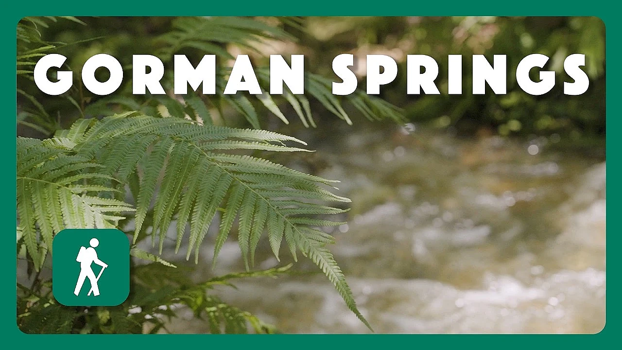 Gorman Springs | Postcard From Texas