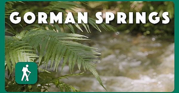 Gorman Springs | Postcard From Texas