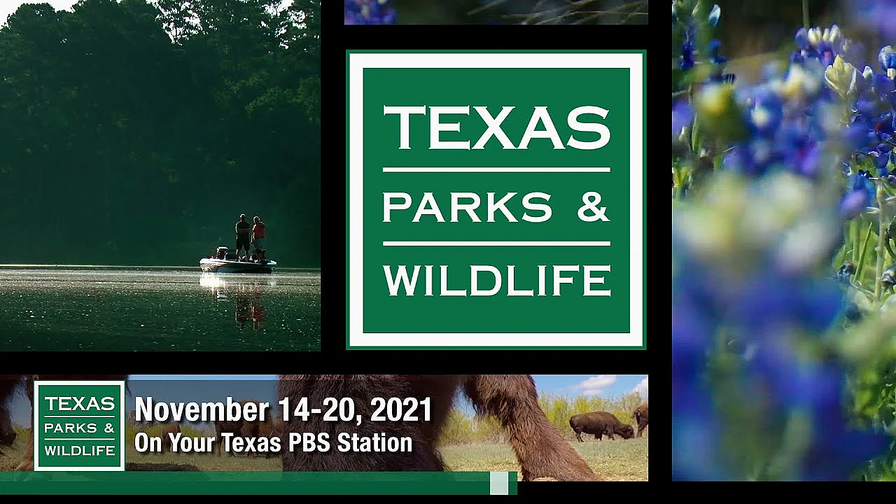 Pbs Preview - San Pedro Ranch, Winter Trout, Texas Quail - #3006