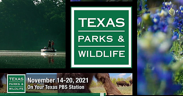 Pbs Preview - San Pedro Ranch, Winter Trout, Texas Quail - #3006
