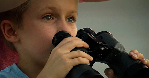 Pbs Show - Birding Passion, Collegiate Climbers, Oyster Shell Return, #2923