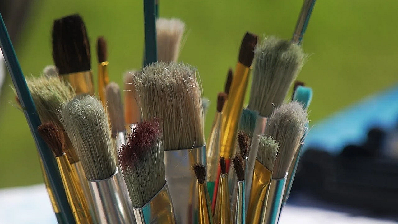 Pbs Show - Park Arts, Boardwalk Birds, Pronghorn Puzzle, #2801