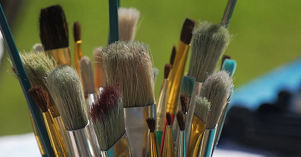 Pbs Show - Park Arts, Boardwalk Birds, Pronghorn Puzzle, #2801