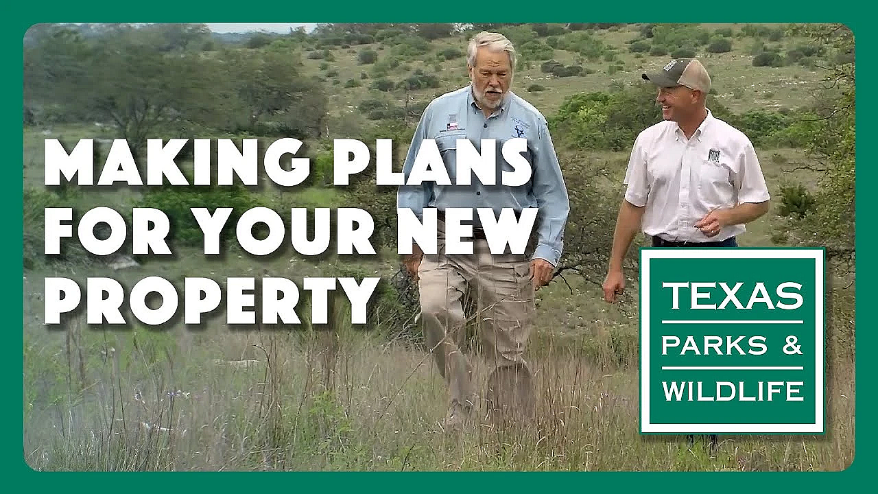 Making Plans For Your New Property