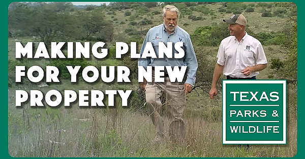 Making Plans For Your New Property