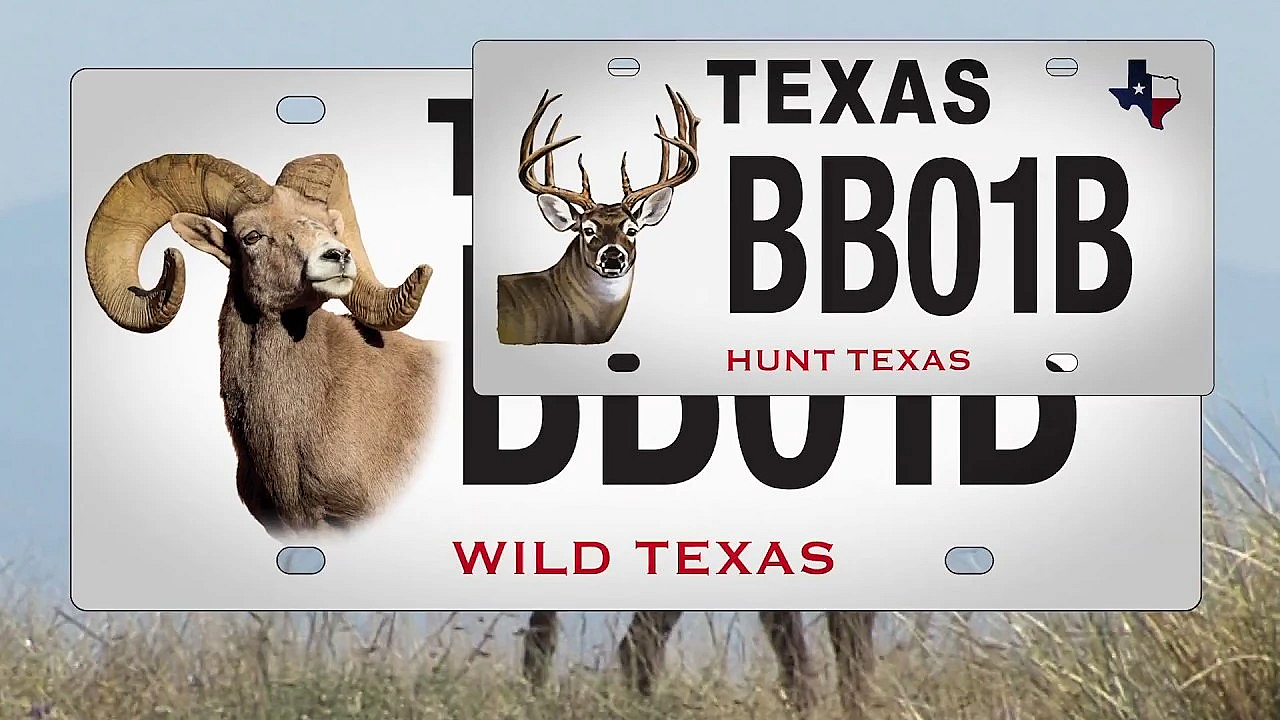 Big Game Conservation License Plate - Texas Parks And Wildlife