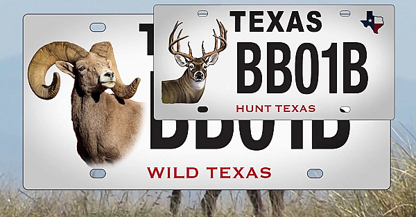 Big Game Conservation License Plate - Texas Parks And Wildlife