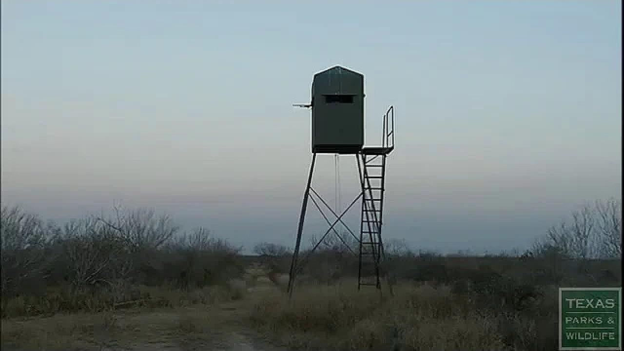 Three Questions To Ask Before You Shoot