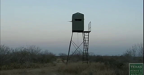 Three Questions To Ask Before You Shoot