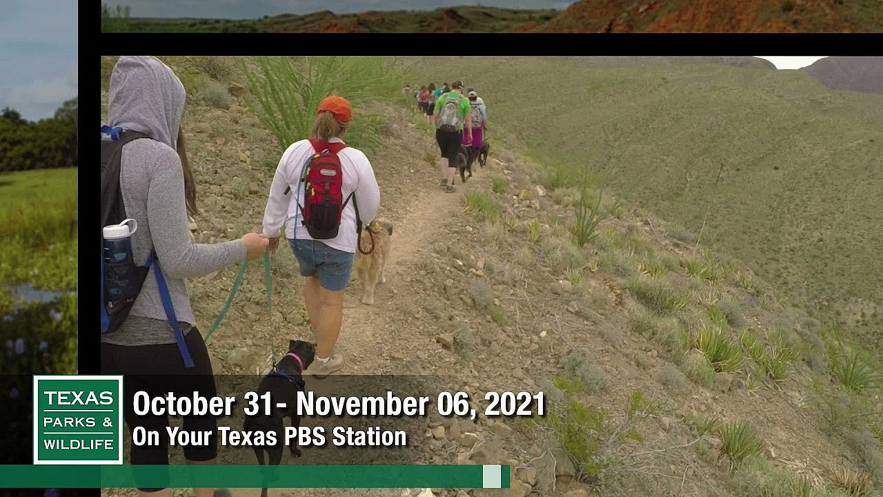 Pbs Preview - Bayou City, Park Barkers, Martin Creek Lake - #3004