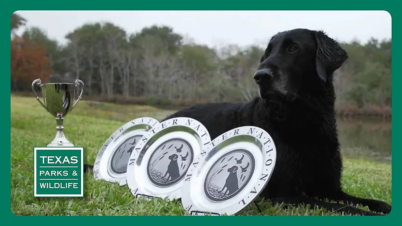 Pbs Preview- Retriever On Trial, Longhorn Cavern, Fishing In The Neighborhood