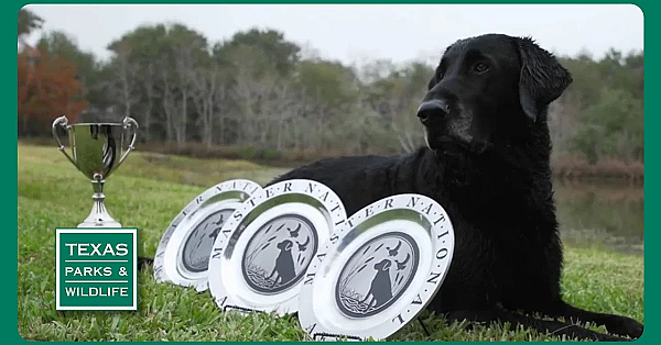 Pbs Preview- Retriever On Trial, Longhorn Cavern, Fishing In The Neighborhood