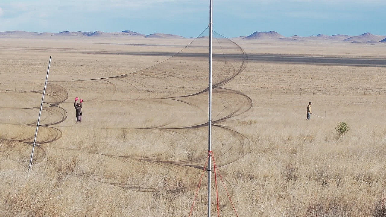 Searching For Desert Sparrows -texas Parks &amp; Wildlife [official]