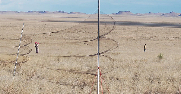 Searching For Desert Sparrows -texas Parks &amp; Wildlife [official]