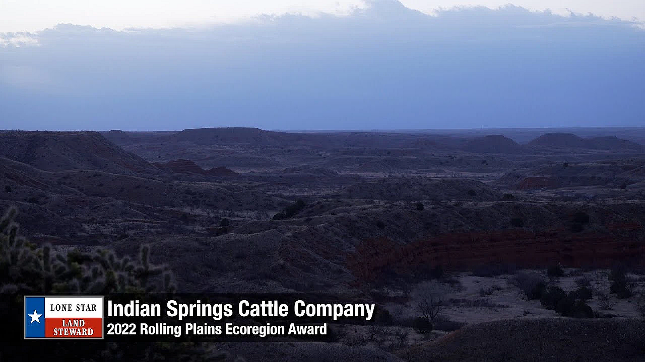2022 Lone Star Land Steward: Indian Springs Cattle Company