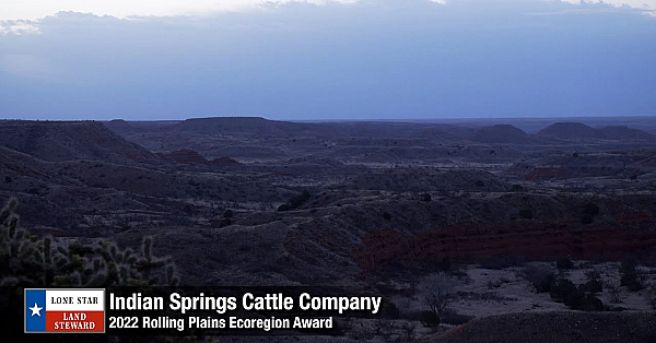 2022 Lone Star Land Steward: Indian Springs Cattle Company