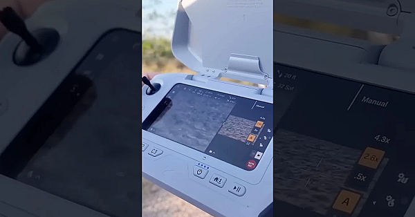 Surveilling Wildlife: New World Screwworm  #texas #nws