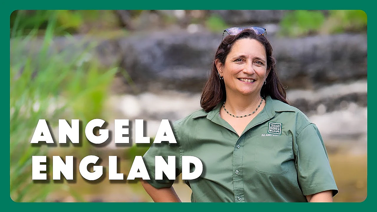 Angela England - Conservation