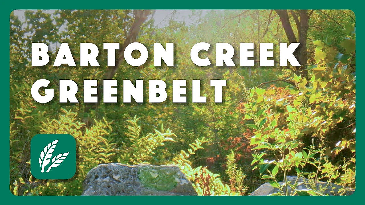 Barton Creek Greenbelt - Postcard From Texas