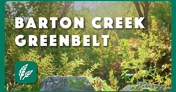 Barton Creek Greenbelt - Postcard From Texas