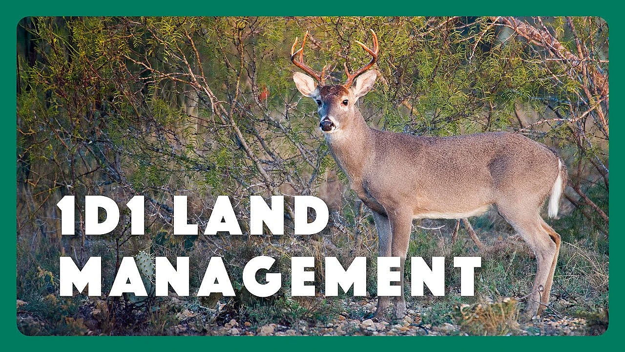 1-d-1 Management Trailer