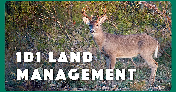 1-d-1 Management Trailer