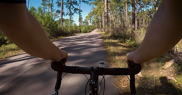 Postcard From Texas: Biking Bastrop State Park