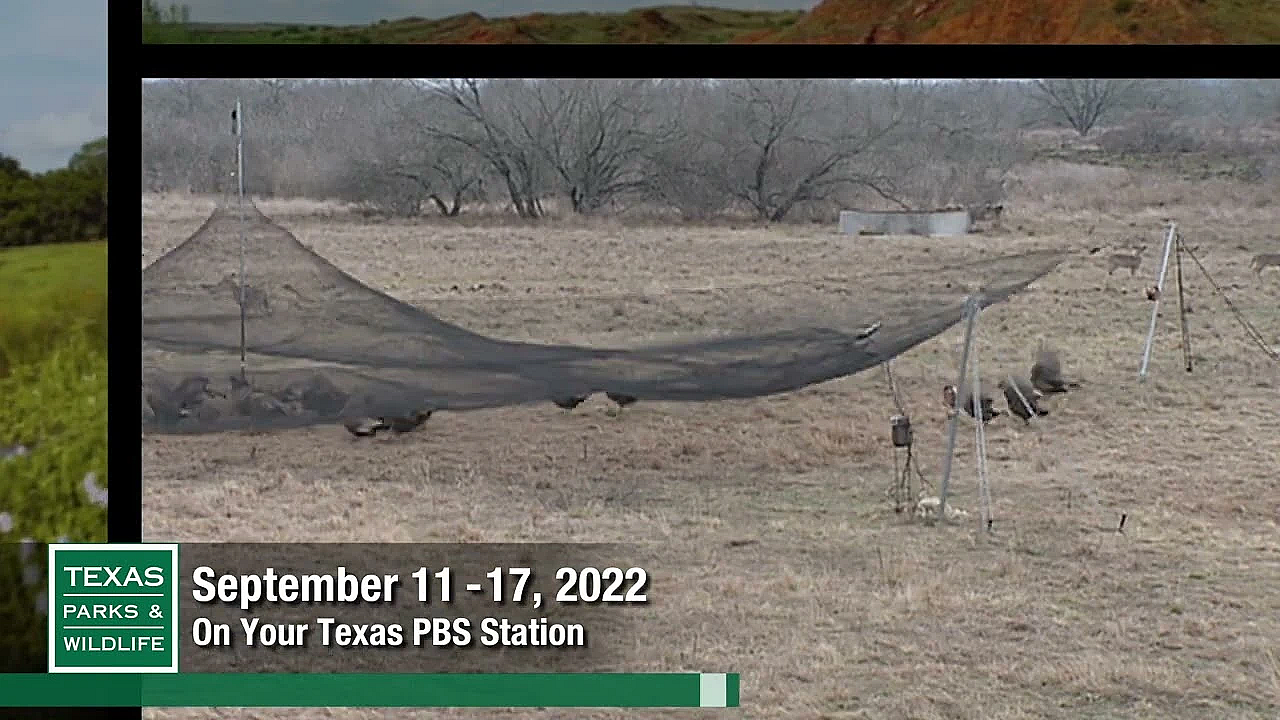 Pbs Preview - Hueco Tanks, Turkey Trapping, Texas Rat Snake